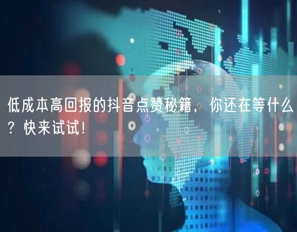 低成本高回报的抖音点赞秘籍,你还在等什么?快来试试!