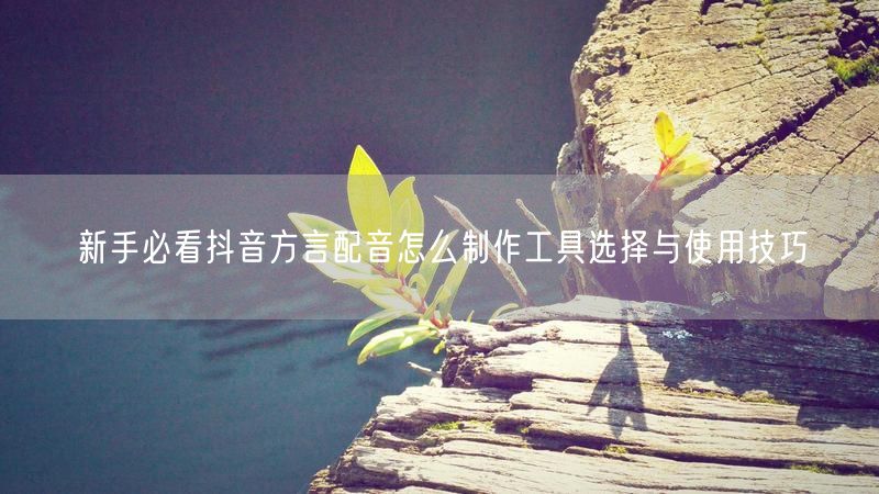 新手必看抖音方言配音怎么制作工具选择与使用技巧