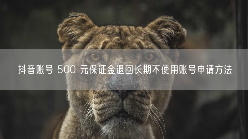抖音账号 500 元保证金退回长期不使用账号申请方法