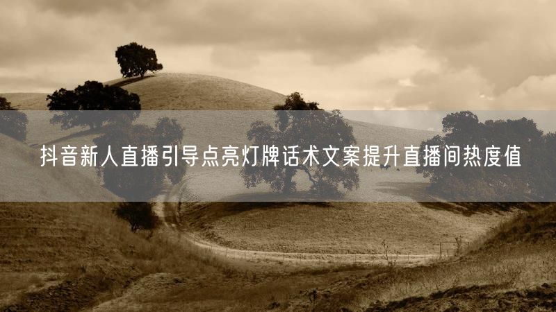 抖音新人直播引导点亮灯牌话术文案提升直播间热度值