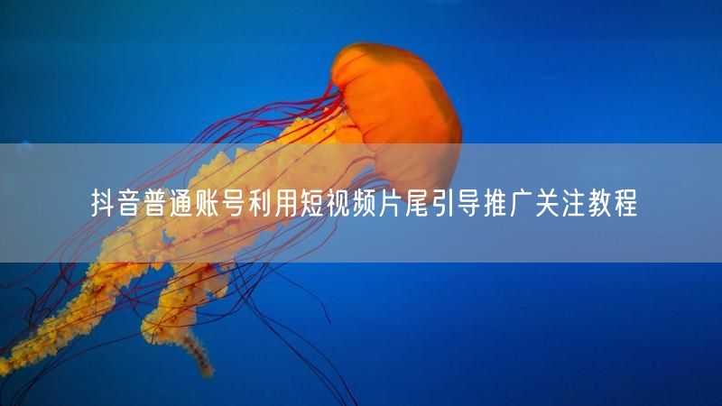 抖音普通账号利用短视频片尾引导推广关注教程