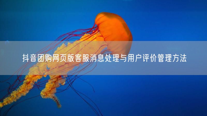 抖音团购网页版客服消息处理与用户评价管理方法