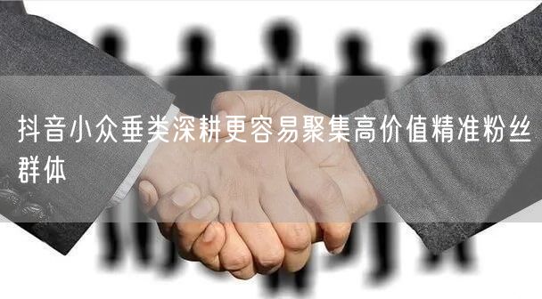 抖音小众垂类深耕更容易聚集高价值精准粉丝群体