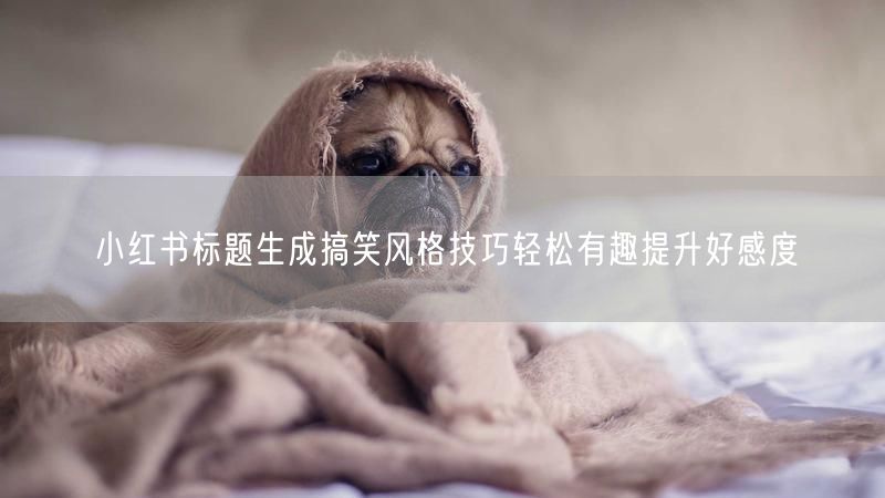 小红书标题生成搞笑风格技巧轻松有趣提升好感度