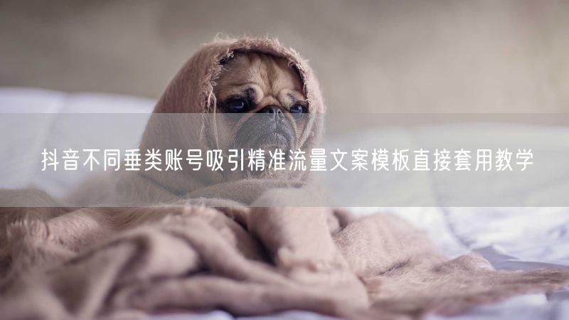 抖音不同垂类账号吸引精准流量文案模板直接套用教学