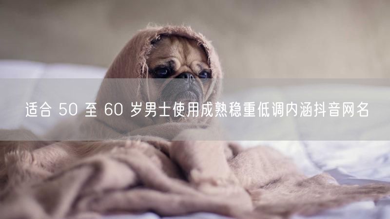适合 50 至 60 岁男士使用成熟稳重低调内涵抖音网名