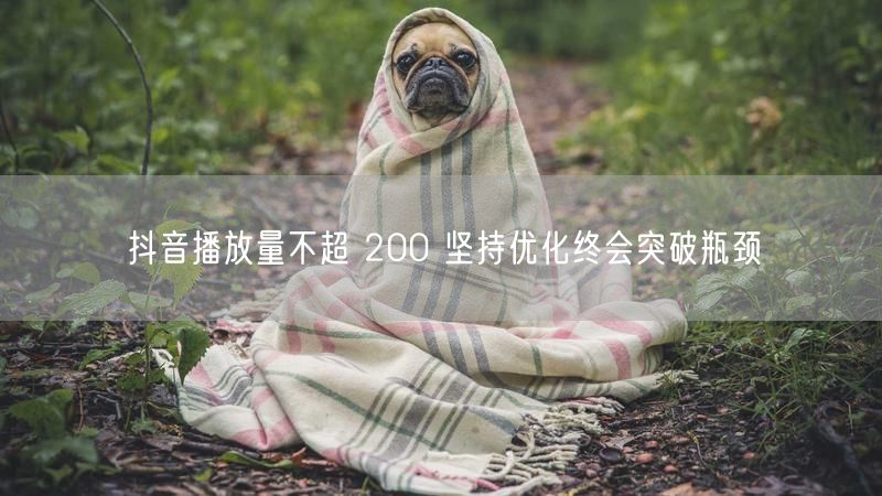 抖音播放量不超 200 坚持优化终会突破瓶颈