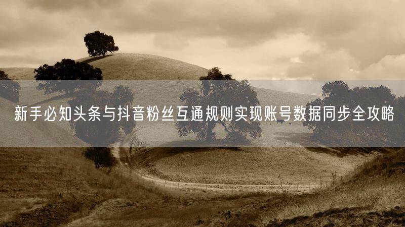 新手必知头条与抖音粉丝互通规则实现账号数据同步全攻略