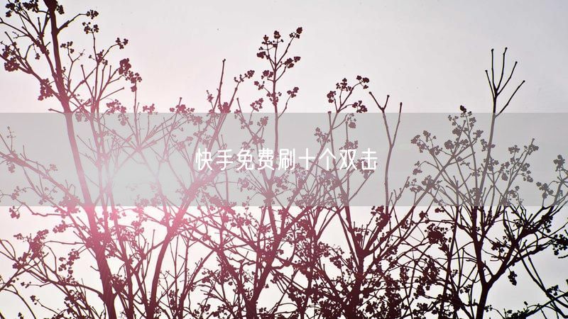快手免费刷十个双击