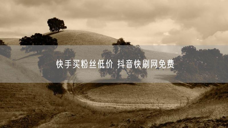 快手买粉丝低价 抖音快刷网免费