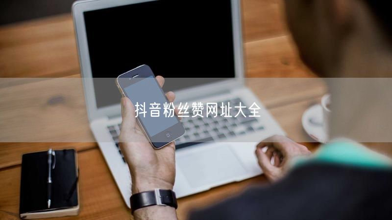 抖音粉丝赞网址大全
