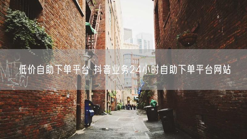 低价自助下单平台 抖音业务24小时自助下单平台网站