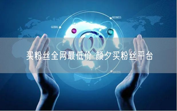 买粉丝全网最低价 颜夕买粉丝平台
