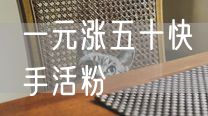 一元涨五十快手活粉