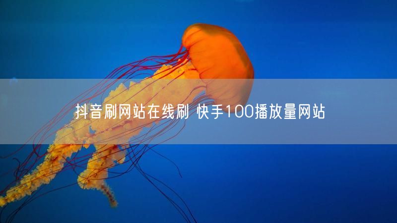 抖音刷网站在线刷 快手100播放量网站