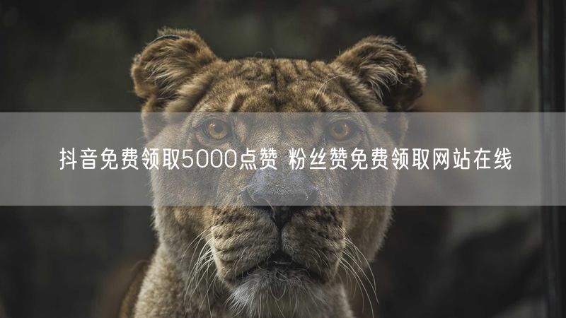 抖音免费领取5000点赞 粉丝赞免费领取网站在线
