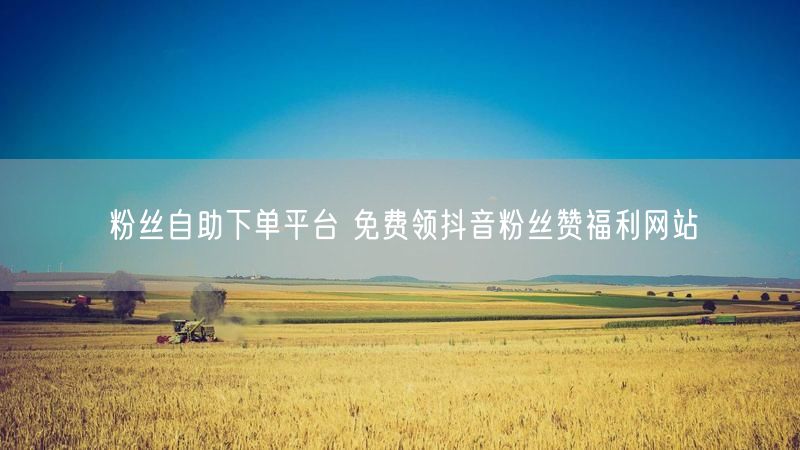 粉丝自助下单平台 免费领抖音粉丝赞福利网站