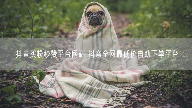 抖音买粉秒赞平台网站 抖音全网最低价自助下单平台