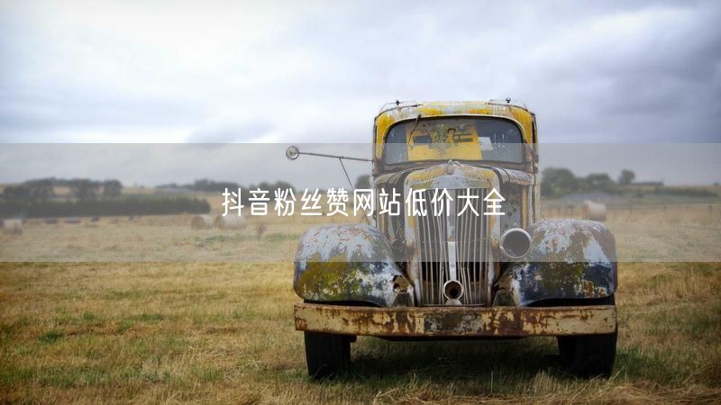 抖音粉丝赞网站低价大全