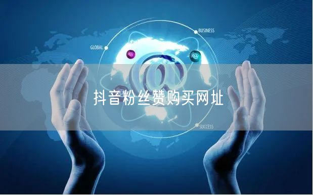 抖音粉丝赞购买网址