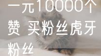 一元10000个赞 买粉丝虎牙粉丝
