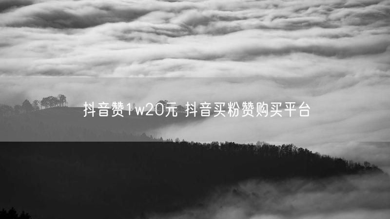 抖音赞1w20元 抖音买粉赞购买平台
