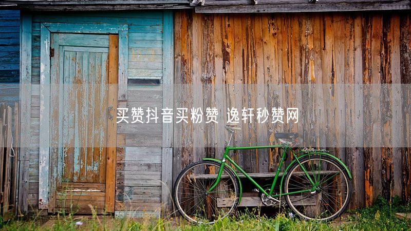 买赞抖音买粉赞 逸轩秒赞网