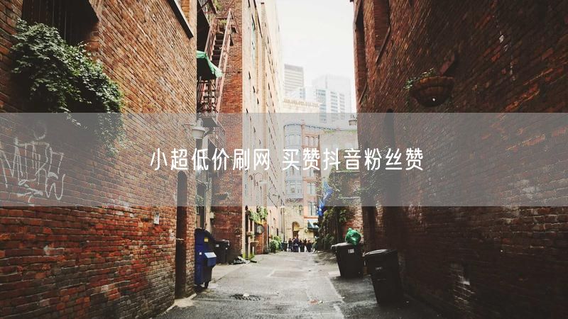 小超低价刷网 买赞抖音粉丝赞