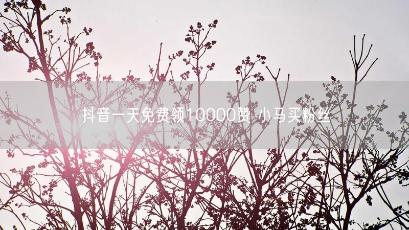抖音一天免费领10000赞 小马买粉丝