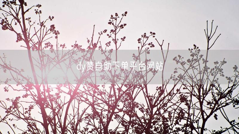 dy赞自助下单平台网站