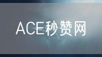 ACE秒赞网