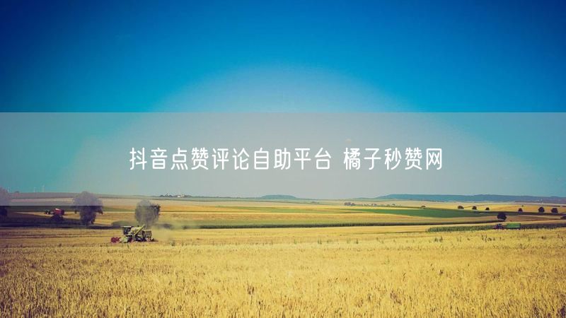 抖音点赞评论自助平台 橘子秒赞网