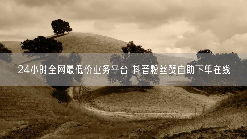 24小时全网最低价业务平台 抖音粉丝赞自助下单在线