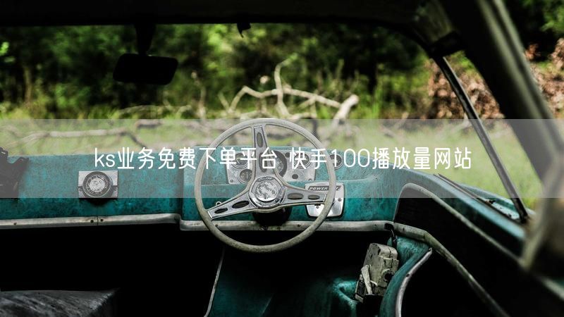 ks业务免费下单平台 快手100播放量网站