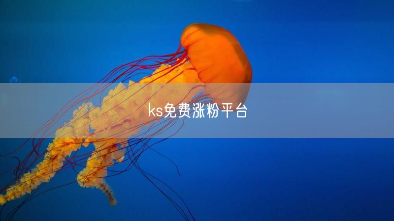 ks免费涨粉平台