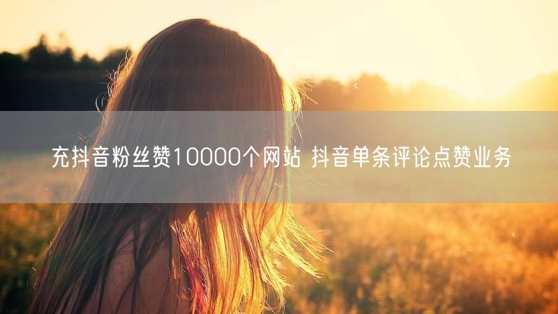 充抖音粉丝赞10000个网站 抖音单条评论点赞业务