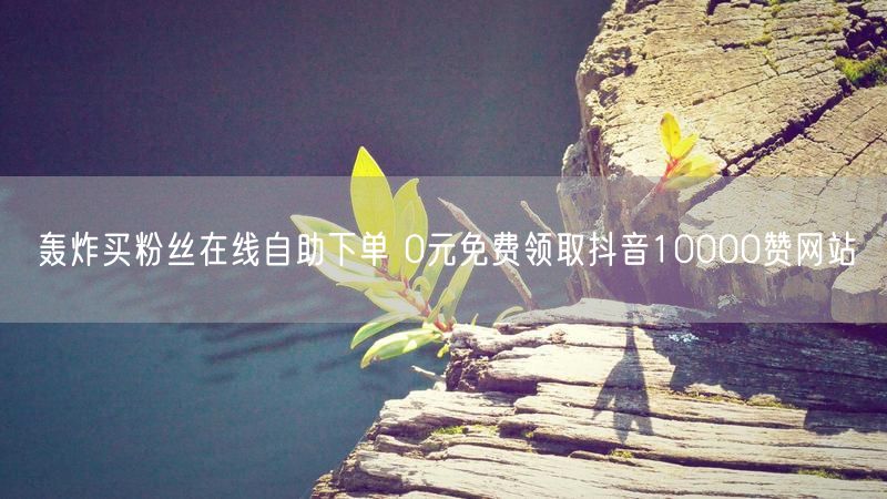 轰炸买粉丝在线自助下单 0元免费领取抖音10000赞网站