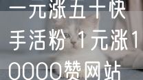 一元涨五十快手活粉 1元涨10000赞网站