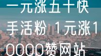 一元涨五十快手活粉 1元涨10000赞网站